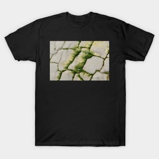 Sea Grass T-Shirt